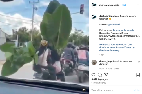 Bahaya, Jangan Naik Motor Sambil Bawa Tanaman Besar