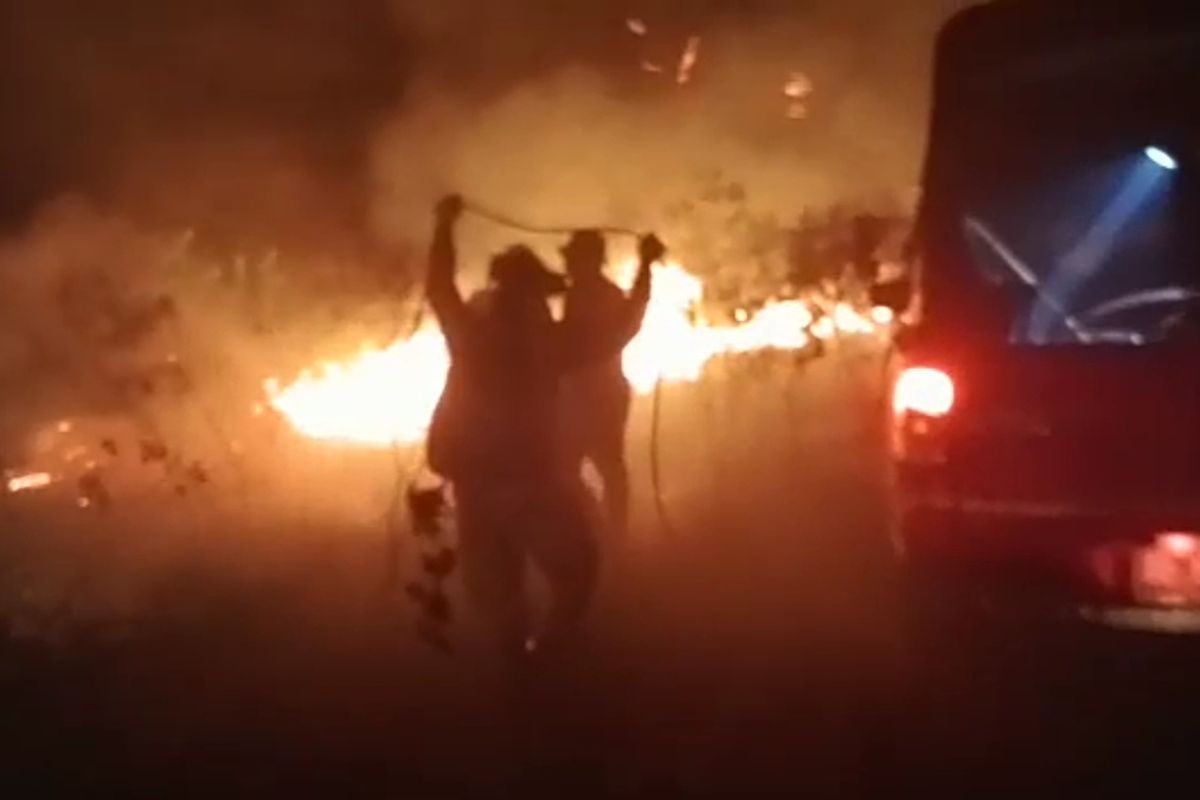 Proses pemadaman lahan hutan di Taman Nasional Way Kambas (TNWK) yang terbakar pada Sabtu (14/1/2023).