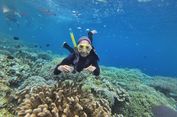 Cara Snorkeling di Pulau Bunaken, Pemula Wajib Tahu