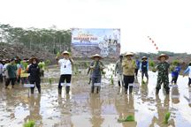 Lakukan Tanam Perdana di Pulang Pisau, Kalteng Percepat Langkah Menuju Swasembada Pangan