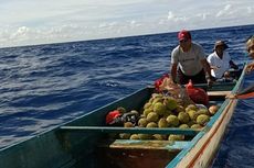 Longboat Mati Mesin di Perairan Pulau Suanggi Maluku, 8 Penumpang Dievakuasi Tim SAR