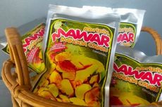 Warga Ciemas Sukabumi Olah Mangga jadi Produk Bernilai Ekonomi Tinggi