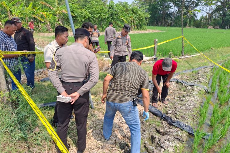 Petani Ngawi Tewas Tersetrum Jebakan Tikus Beraliran Listrik