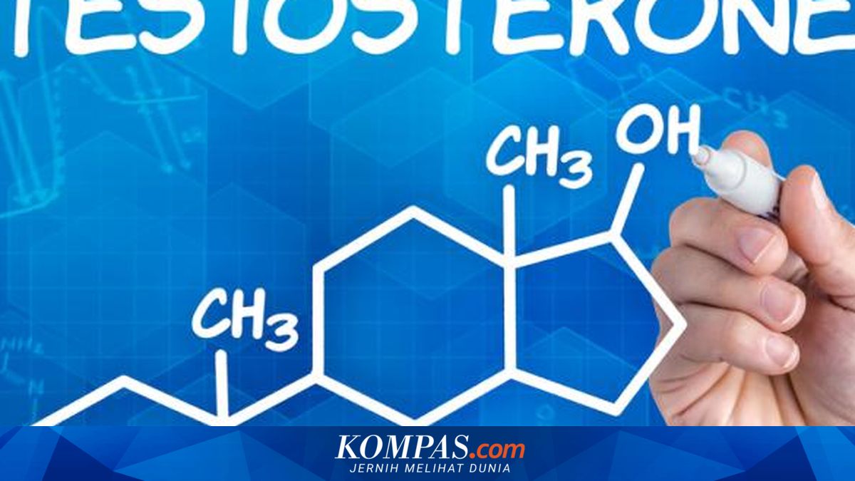 Fakta soal Hormon Testosteron Rendah, Gejala, dan Pengobatannya