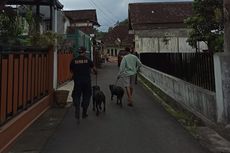 Anjing Rottweiler Lepas dari Kandang Mangsa Angsa, Damkar Turun Tangan