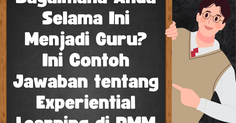 Bagaimana Anda Selama Ini Menjadi Guru? Ini Contoh Jawaban tentang Experiential Learning di PMM