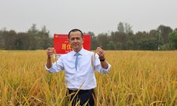 Jeruk Madu Yichang, Bukti Keberhasilan Mengubah Kawasan Transmigrasi Jadi Sentra Ekonomi Dunia