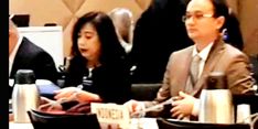 Wamendag Masalahkan Diskriminasi UE terhadap Sawit Indonesia di Forum WTO