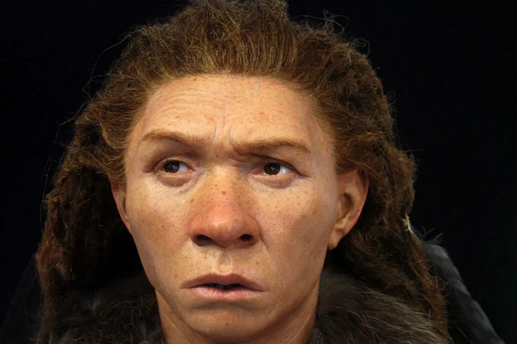 Ilustrasi wanita Neanderthal