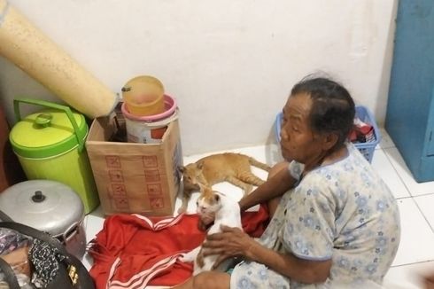 Tempat Tinggalnya di Gang Royal Ikut Dibongkar, Nenek Sebatang Kara Dapat Kontrakan Baru
