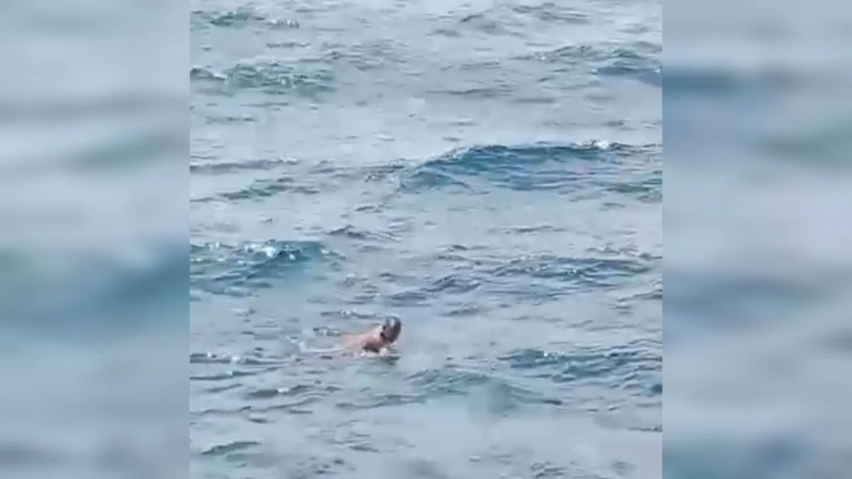 Seorang Warga Buton Hanyut 6 Jam di Lautan, Diselamatkan Kapal Feri Murhum yang Melintas