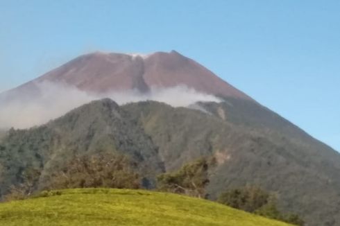 Tim Gabungan Dikerahkan Atasi Kebakaran di Hutan Lereng Barat Gunung Slamet