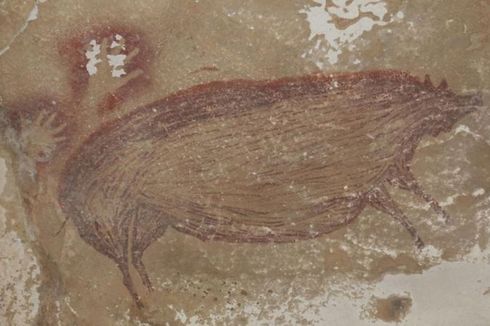 Lukisan Hewan Tertua di Dunia Ditemukan di Sulawesi Selatan, Diperkirakan Berusia 45.500 Tahun
