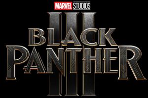 Film Black Panther 3 Rilis Desember 2028, David Jonsson Perankan Putra T’Challa