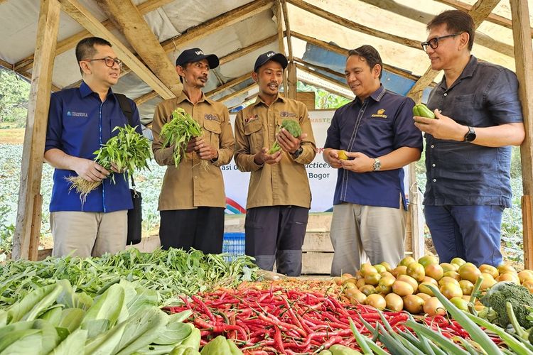 Petani binaan Astra melalui Yayasan Dharma Bhakti Astra (YDBA) dan Pusat Investasi Pemerintah (PIP) di Sukawangi Bogor menunjukkan produk hortikultura hasil budidaya organik kepada Ketua Pengurus YDBA Rahmat Samulo (kanan), Direktur PIP Muhammad Yusuf (kedua kanan) dan EVP Corporate Secretary & Communication PT Penjaminan Infrastruktur Indonesia (Persero) (PII) Yunan Novaris (kiri)