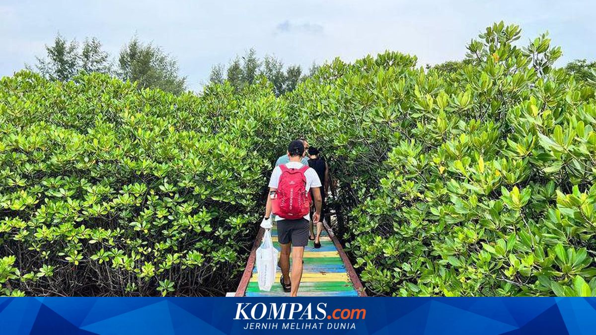 Mengenal Bumi Journey, Inisiasi Trip Wisata Peduli Lingkungan
