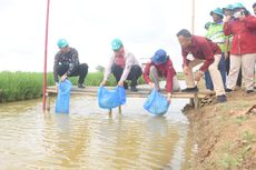 Kementerian KP Tetapkan BRPI Sukamadi sebagai Percontohan Smart Fisheries Village di Indonesia