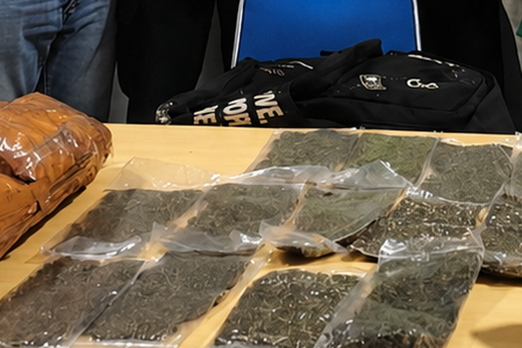 Hendak Selundupkan 2,6 Kg Ganja, Calon Penumpang Lion Air Ditangkap di Bandara Sentani