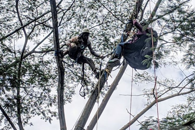 Ayu, penerbang paralayang yang tersangkut di pohon Kawasan Puncak, Cisarua, Kabupaten Bogor, Jawa Barat, Kamis (25/11/2021). 