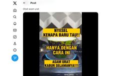 Ramai soal Labu Siam Bakar Disebut Bisa Sembuhkan Asam Urat, Ini Kata Dokter