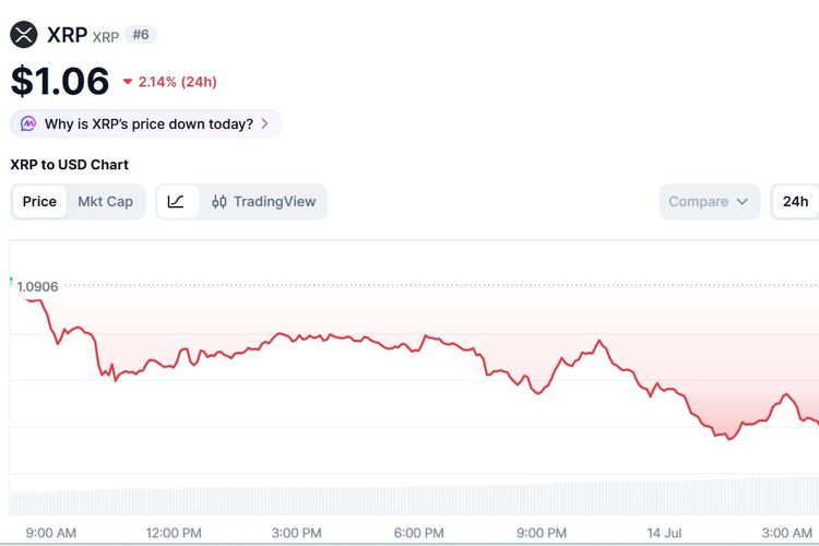 Harga XRP Hari Ini 14 Juli 2026, Net Sell Bitcoin Dorong Penurunan