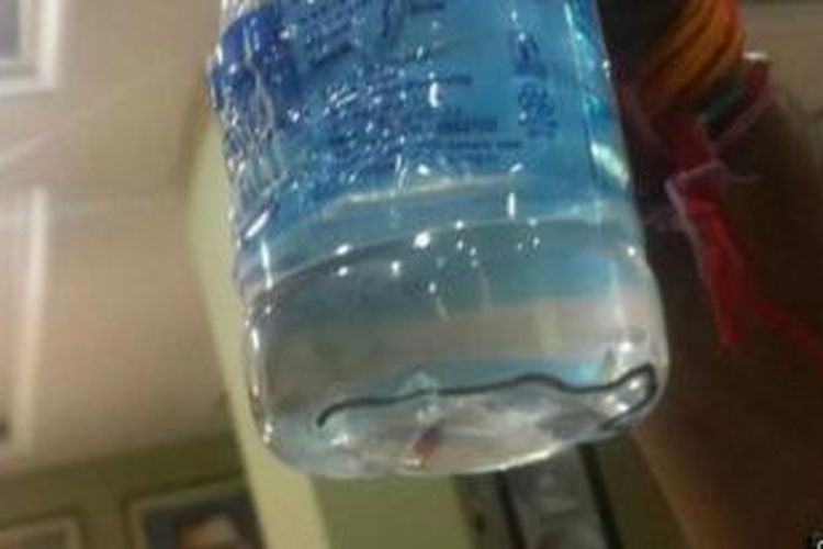 Bayi ular ini masih hidup ketika ditemukan di dalam botol air kemasan yang disajikan di acara resmi pemerintah.