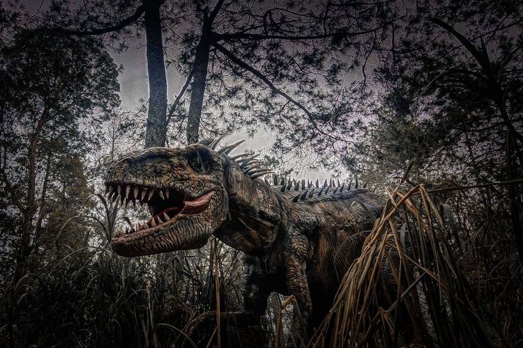 Para dinosaurus yang berinteraksi dengan wisatawan di tempat wisata di Magetan, Jawa Timur bernama Mojosemi Dinosaurus Park.