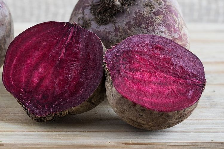 Ilustrasi buah bit atau beet root segar. 