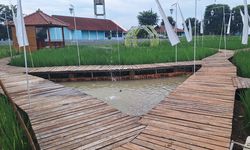 Kembangkan Produktivitas Perikanan, Kementerian KP Jalankan One Stop Aquaculture SFV