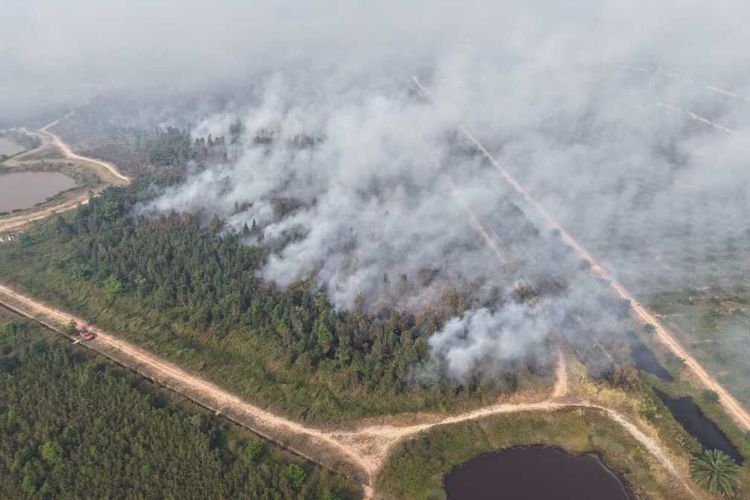 Warga Palangka Raya Terdampak Karhutla Gugat UU Penanggulangan Bencana ke MK