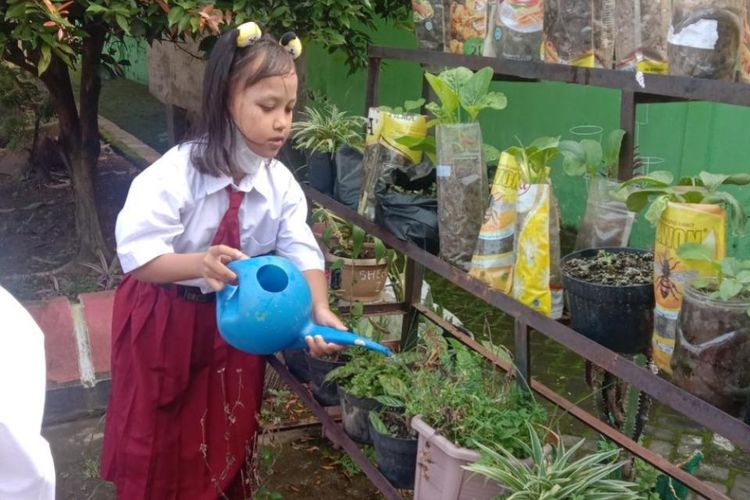 Bertani sayur mayur, buah-buahan, dan empon-empon? di SD Negeri Sukorejo I, Kabupaten Kediri.