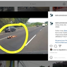 Update Orang yang Tiduran di Jalan Tol Jakarta-Cikampek Ditangkap