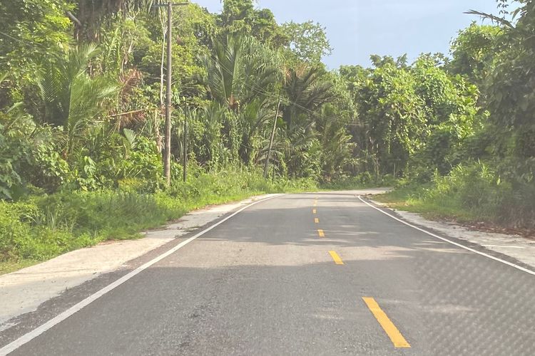 Jalan raya membelah hutan di Distrik Muara Tami menuju PLBN Skouw, Jumat (17/11/2023).