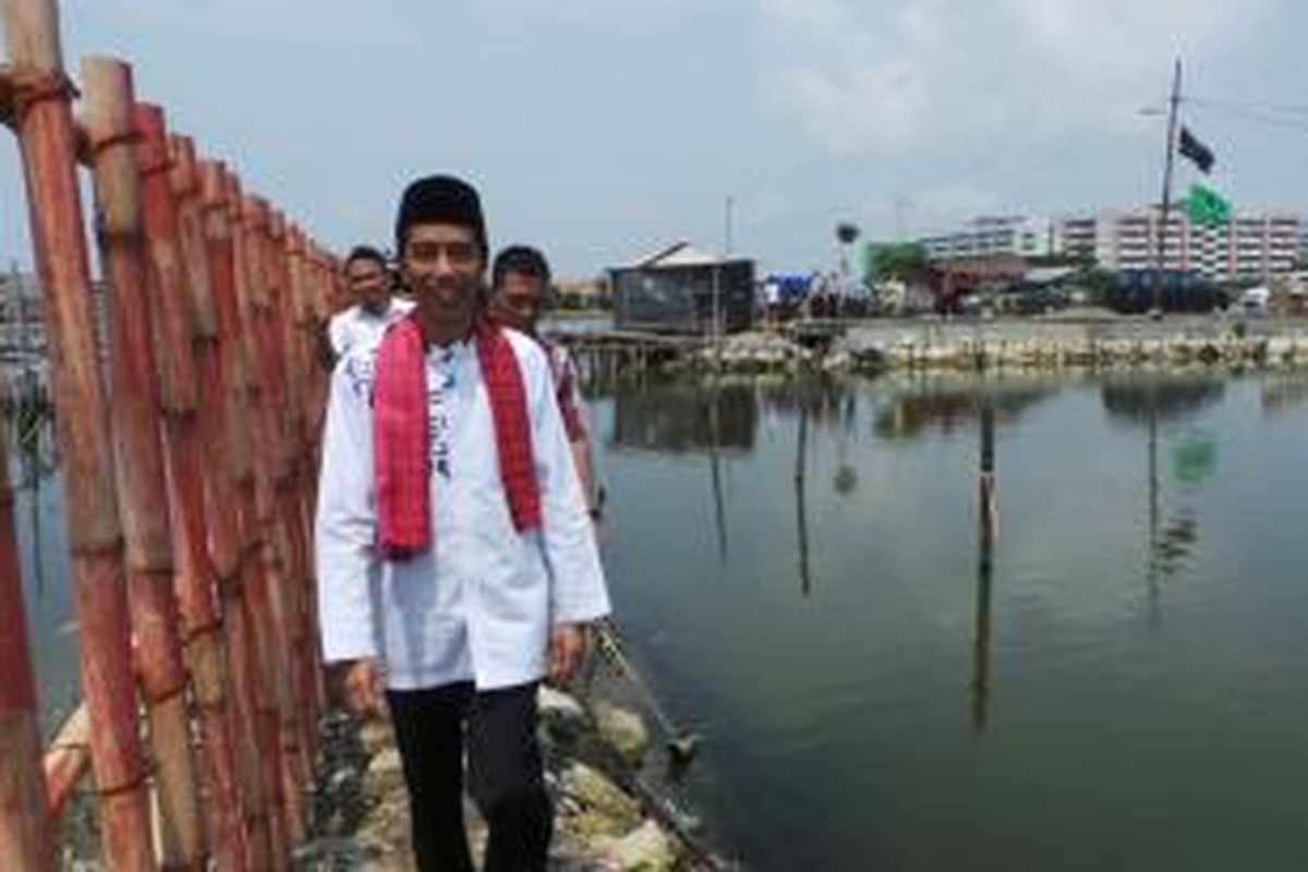 Gubernur Jakarta Joko Widodo berjalan di tengah kolam air payau di bilangan Marunda, Jakarta Utara, Jumat (14/3/2014).