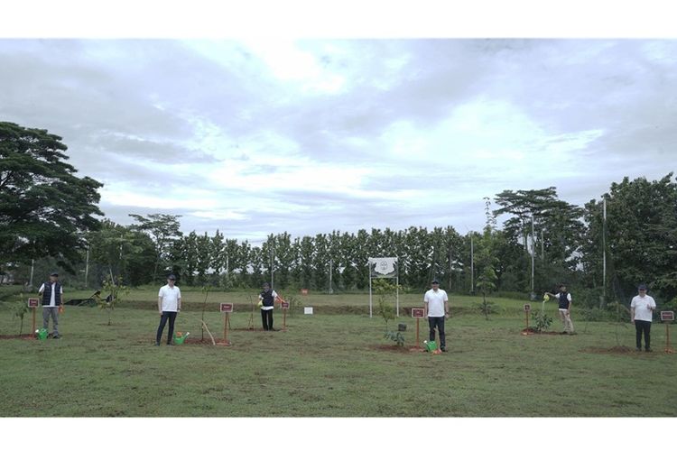 Sejumlah tanaman yang ditanam pada program ASTRA Infra Mini Forest. 