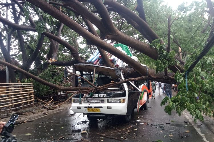 Tampak bus Jawa Baru ringsek tertimpa pohon tumbang di Kota Bima, Jumat (1/12/2023).