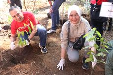 Penuhi Komitmen ESG, Infomedia Tanam 1.000 Pohon di TN Gunung Gede Pangrango