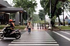 Sejak Kapan Istilah Zebra Cross Muncul?