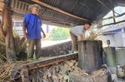 Cerita Petani Dlingo Bantul, Sulap Lahan Berbatu Jadi Produktif: Hasilkan Minyak Atsiri