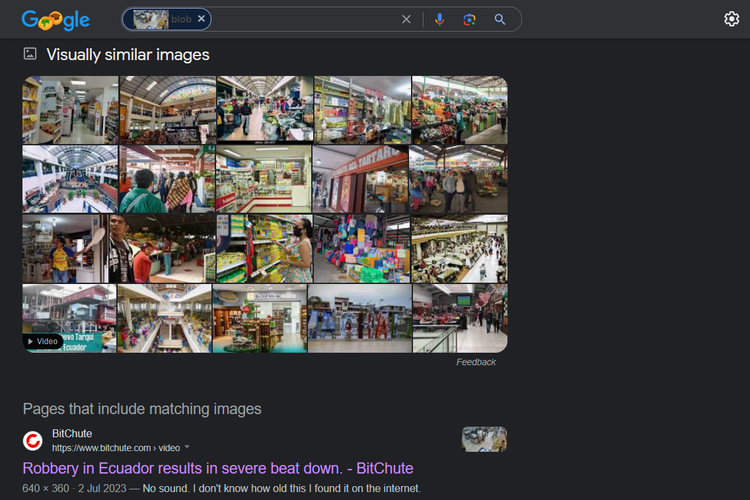 Tangkapan layar pencarian gambar di Google Images, menampilkan situs Bitchute.com mengunggah video perampokan pasaraya di Ekuador, pada 2 Juli 2023.