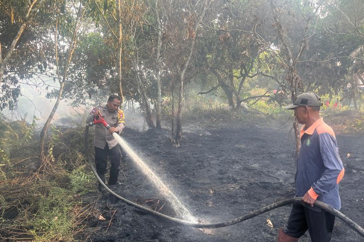 Kebakaran Hutan dan Lahan di Kubu Raya, Pemadaman Terkendala Air, Kabut Asap Menyelimuti