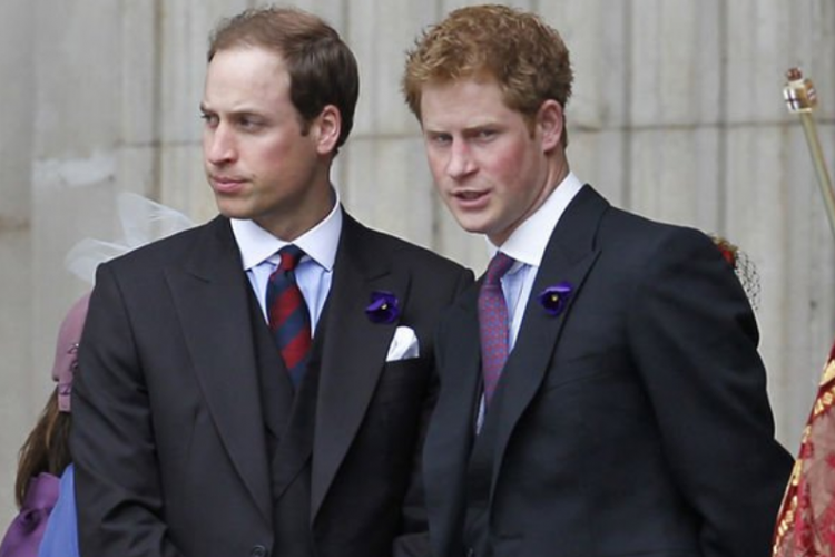 Pangeran William dan Pangeran Harry