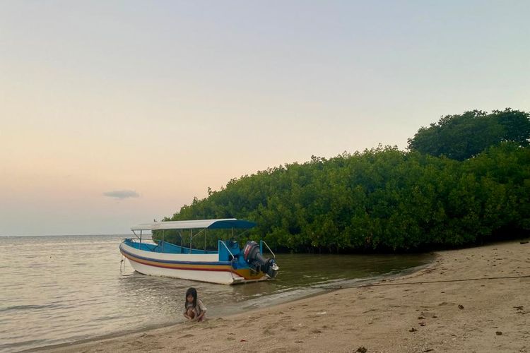 Pantai Bama di Taman Nasional Baluran, Banyuwangi-Situbondo, Jawa Timur. 