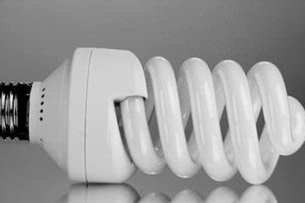 Pada 2011, impor LHE selama periode Januari-Agustus, saja sudah mencapai 131,42 juta unit. Sebagian besar LHE impor berasal dari China.