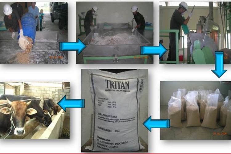Tritan untuk peningkatan mutu pakan ternak adalah hasil produk samping atau by product dari sampah domestik Ajinomoto Indonesia.