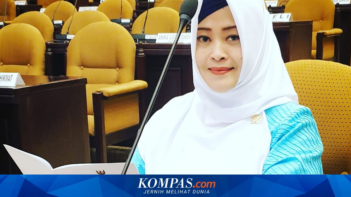 Fahira Idris Cs Gugat Presidential Threshold Jadi 0 Persen ke MK