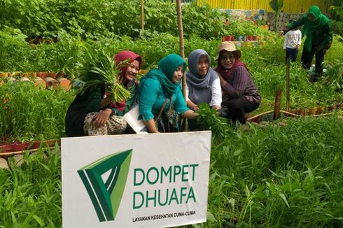 Jakarta Hajatan ke-495, Dompet Dhuafa Gelar Panen Raya Kebun Sehat di Kebayoran Lama