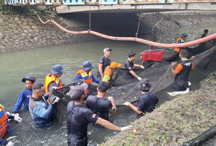 Pakar BRIN: Jangan Hanya Fokus Ikan Sapu-sapu, Ada 18 Spesies Invasif Mengintai Perairan Kita
