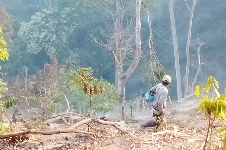 Hampir 12 Jam Kebakaran di Pegunungan Bulo Polman Belum Padam, 50 Hektar Hangus