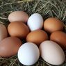 8 Bahan Pengganti Telur untuk Memanggang